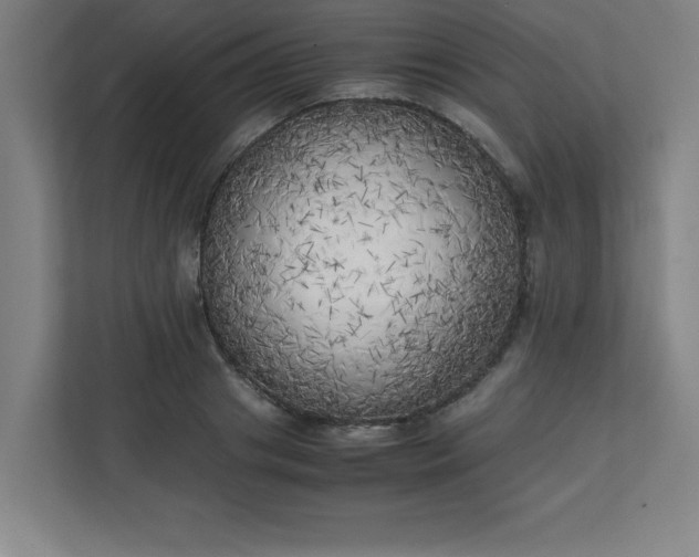 X0000111150841200907071107