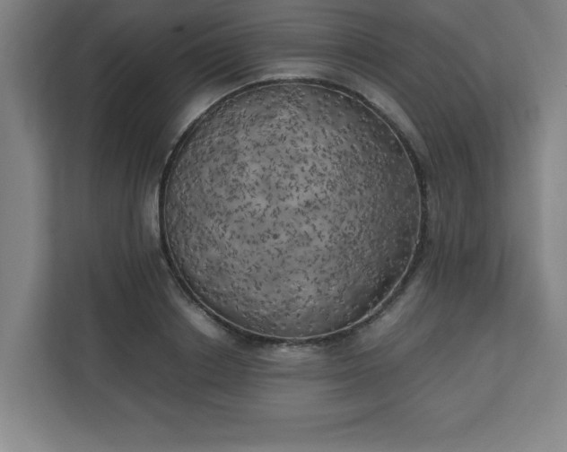 X0000111150842200907071107