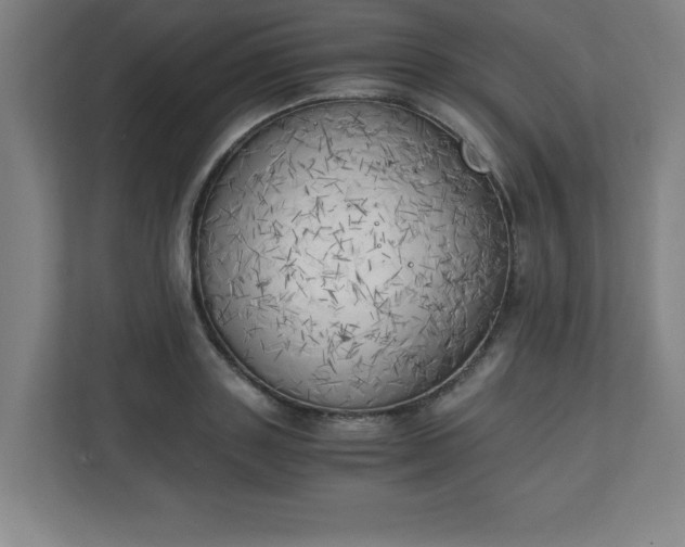 X0000111150843200907071107