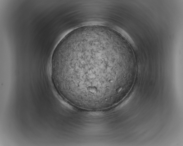 X0000111150844200907071107
