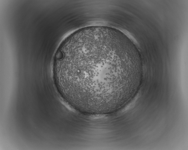 X0000111150846200907071107