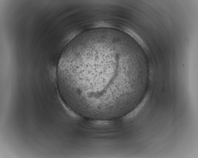 X0000111150849200907071107