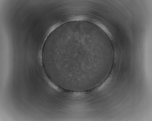 X0000111150850200907071107