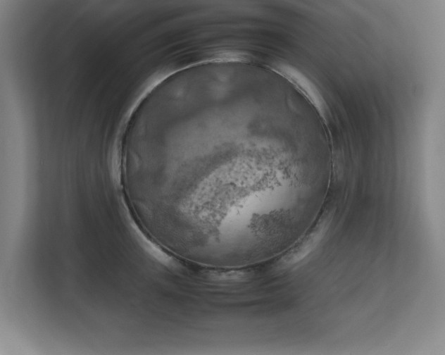 X0000111150851200907071107