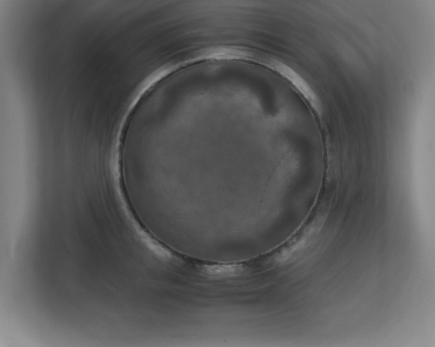 X0000111150853200907071107