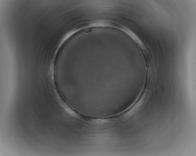 X0000111150854200907071107