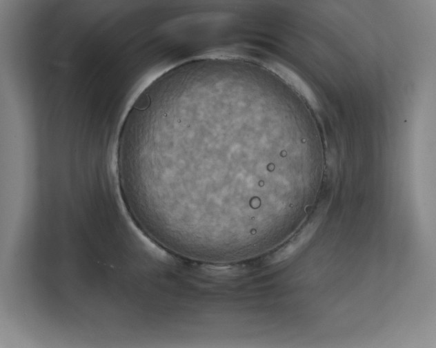 X0000111150855200907071107