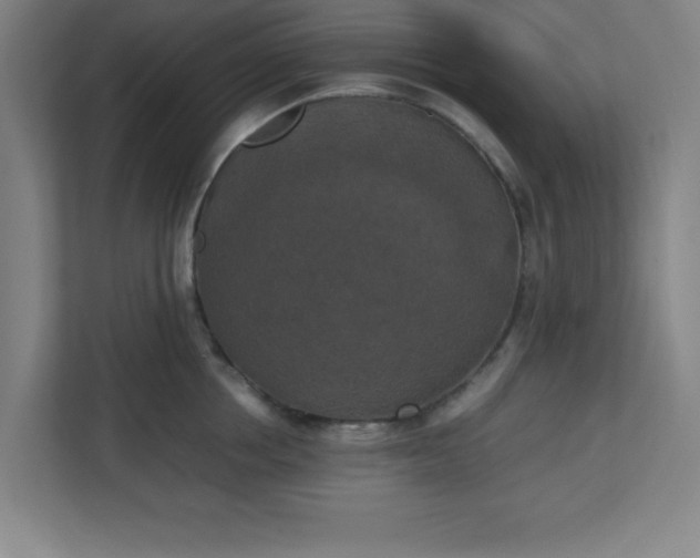 X0000111150858200907071107