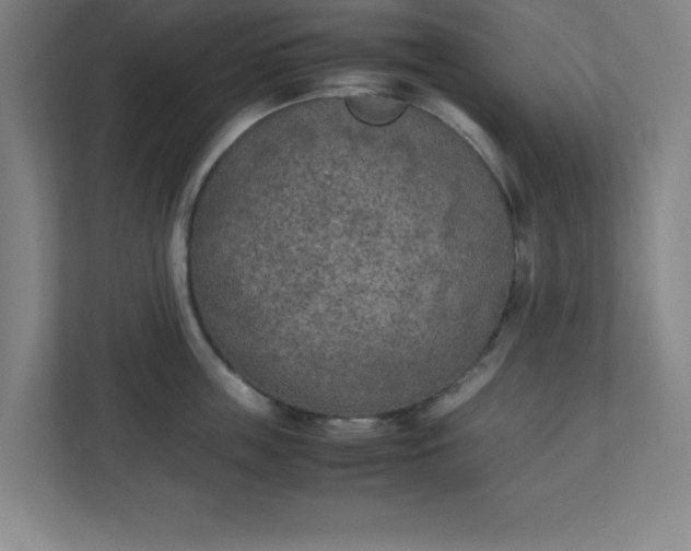 X0000111150859200907071107