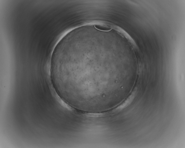 X0000111150860200907071107
