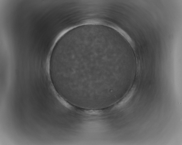 X0000111150862200907071107