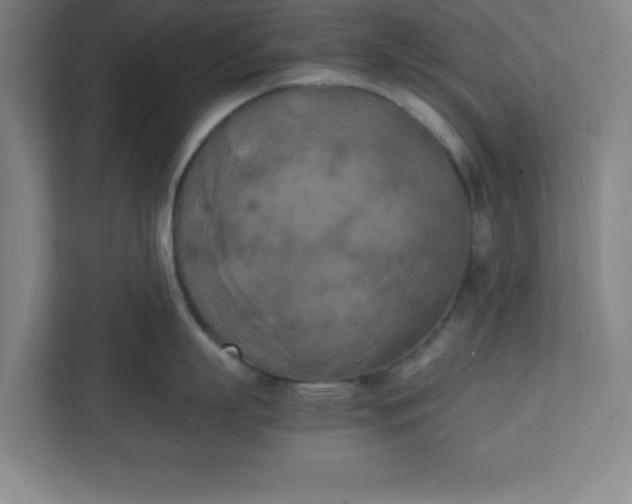 X0000111150863200907071107