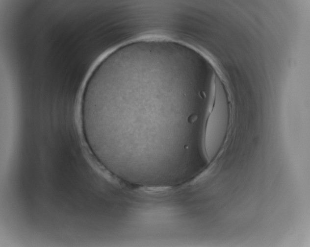 X0000111150864200907071107