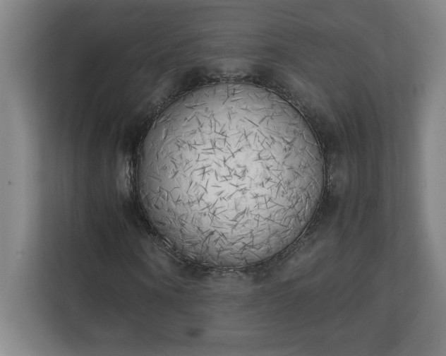 X0000111150866200907071107