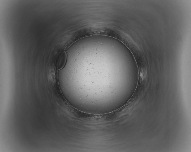 X0000111150867200907071107