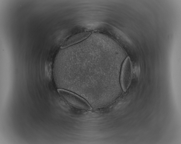 X0000111150868200907071107