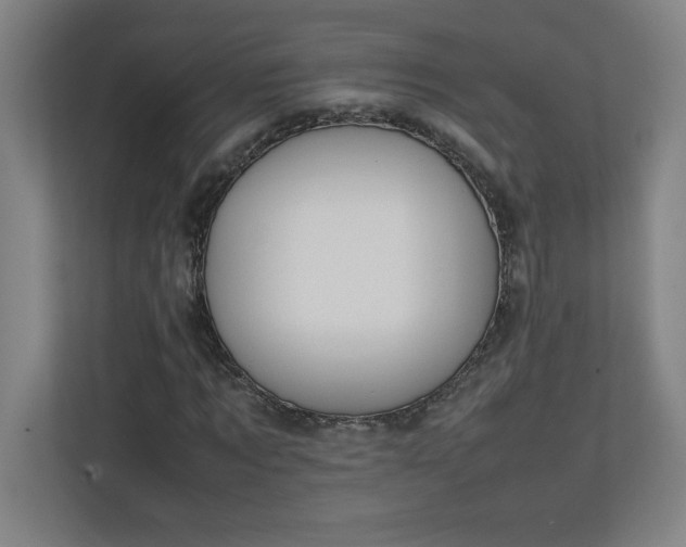 X0000111150869200907071107