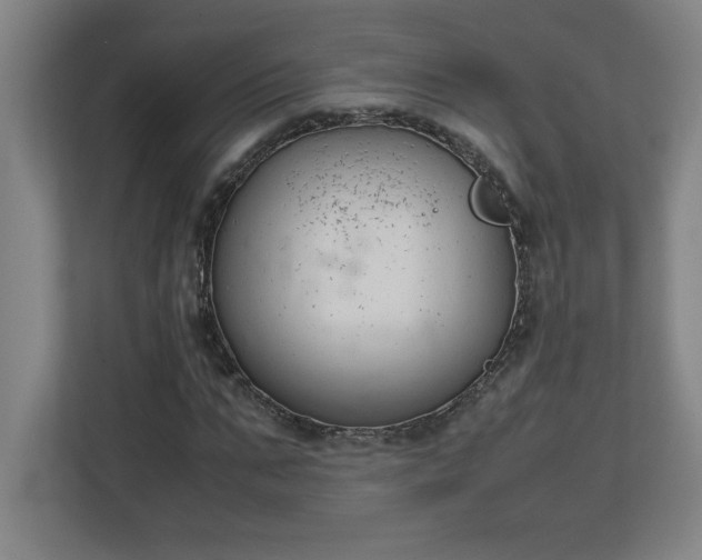 X0000111150871200907071107