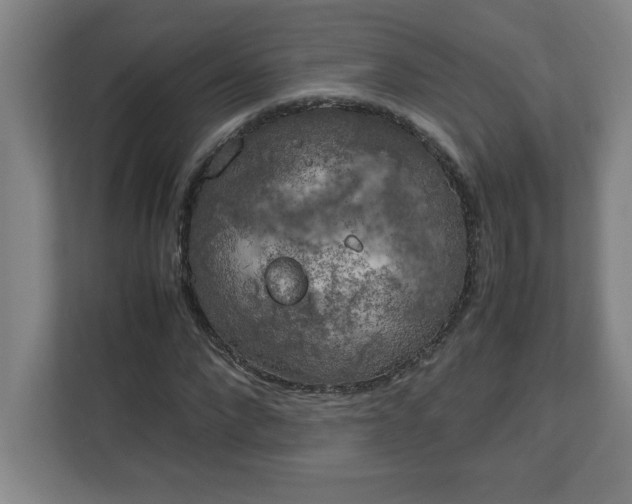 X0000111150872200907071107