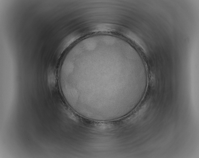 X0000111150874200907071107