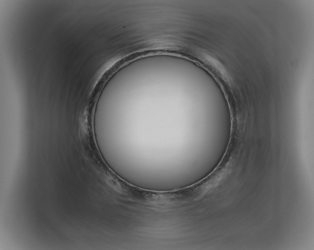 X0000111150875200907071107
