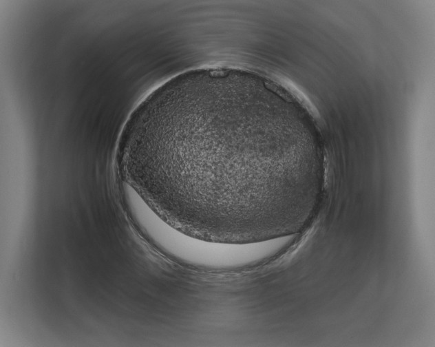 X0000111150876200907071107