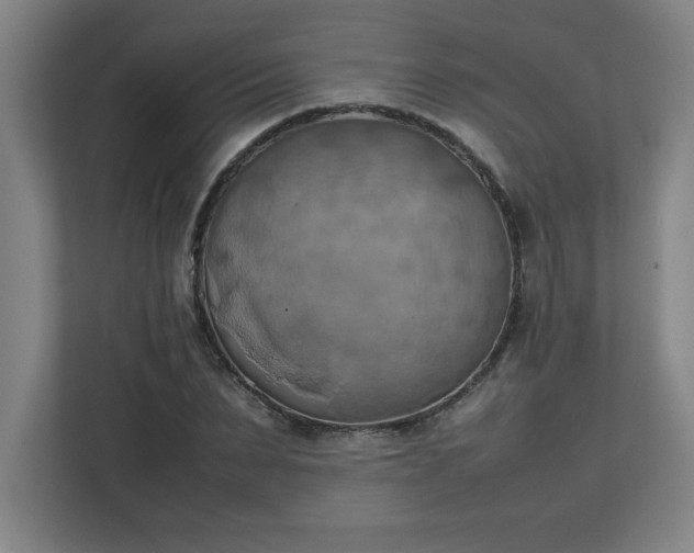 X0000111150879200907071107
