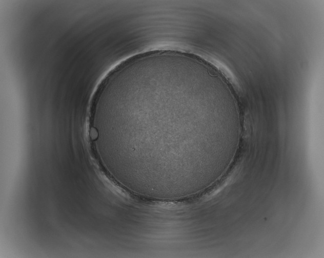 X0000111150880200907071107