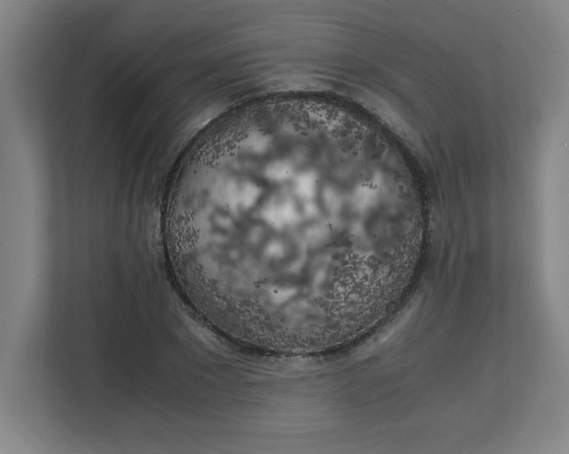 X0000111150881200907071107