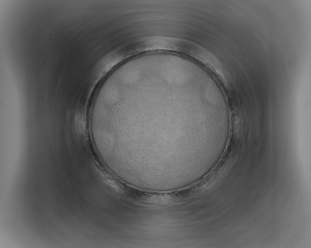 X0000111150882200907071107