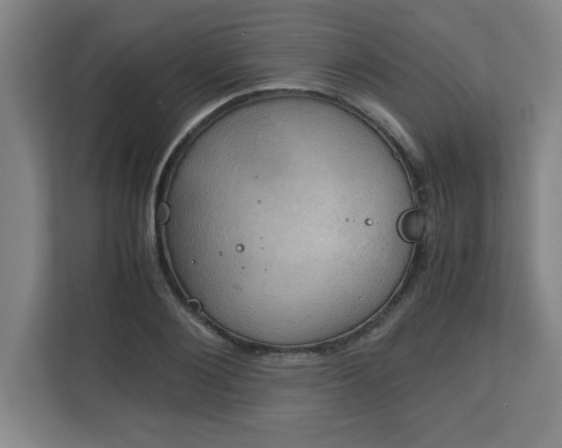 X0000111150884200907071107