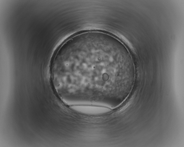 X0000111150885200907071107