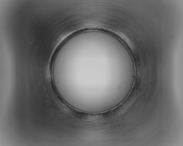 X0000111150887200907071107