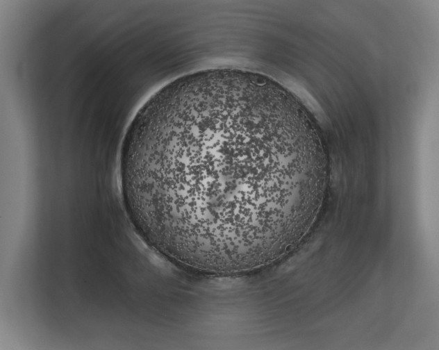X0000111150888200907071107