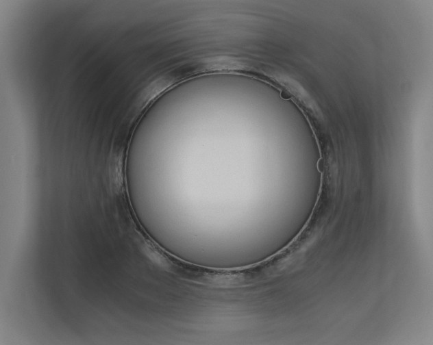 X0000111150889200907071107