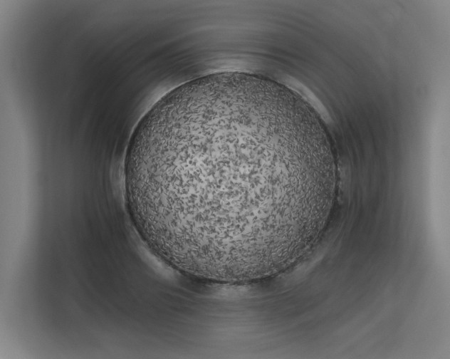 X0000111150890200907071107