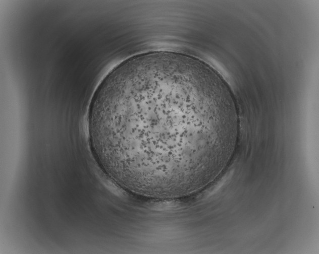 X0000111150891200907071107