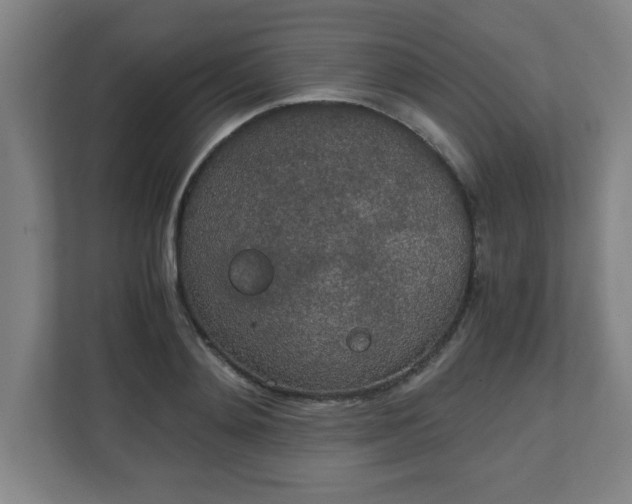 X0000111150892200907071107