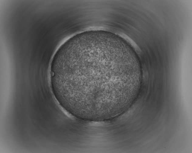 X0000111150894200907071106