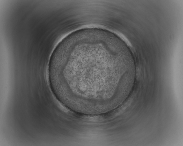 X0000111150895200907071106