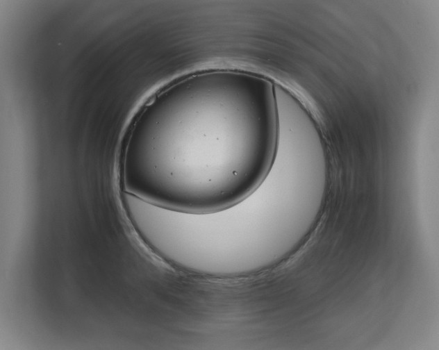 X0000111150896200907071106