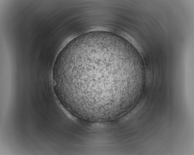 X0000111150898200907071106