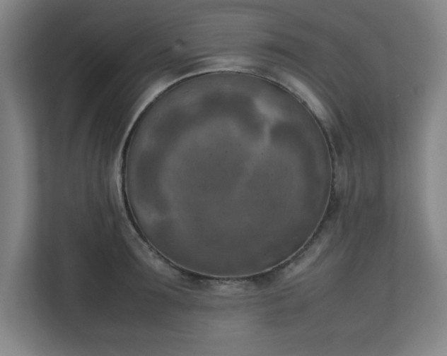 X0000111150899200907071106