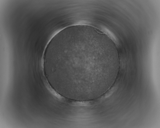 X0000111150900200907071106
