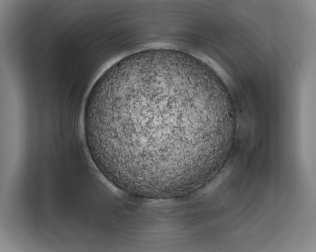 X0000111150902200907071106