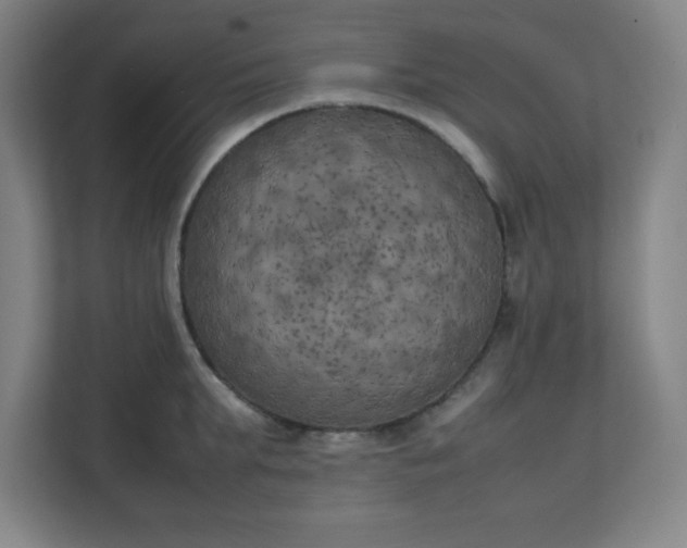 X0000111150903200907071106