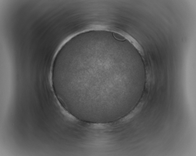 X0000111150904200907071106
