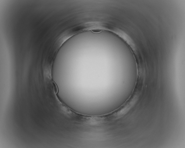 X0000111150905200907071106