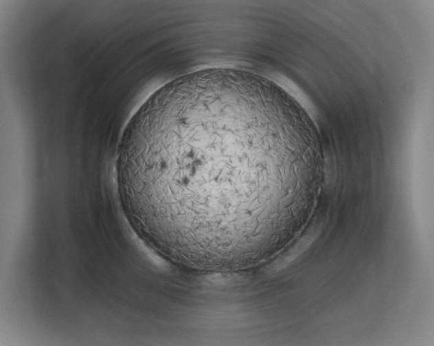 X0000111150906200907071106