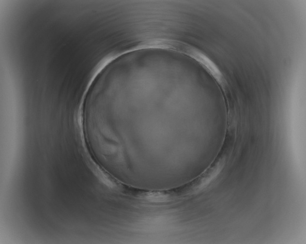 X0000111150907200907071106